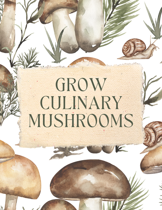 Grow Mushrooms at Home [EBOOK]
