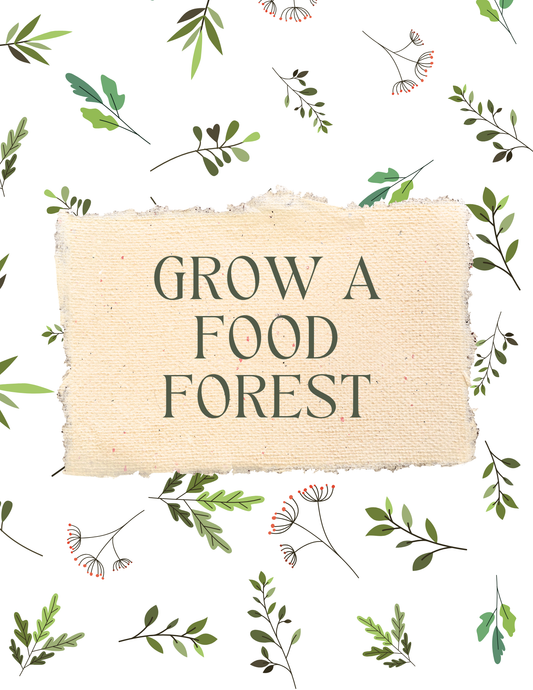 Build a Food Forest [EBOOK]