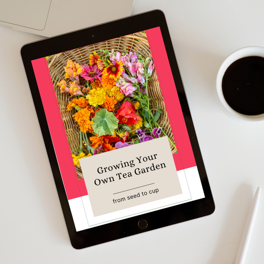 Growing Your Own Tea Garden [EBOOK]